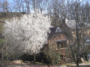 grange rénovée en pleine nature